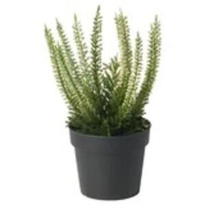 FEJKA Forever Heather: Zero Effort, Pure Green Attitude No Watering Needed
